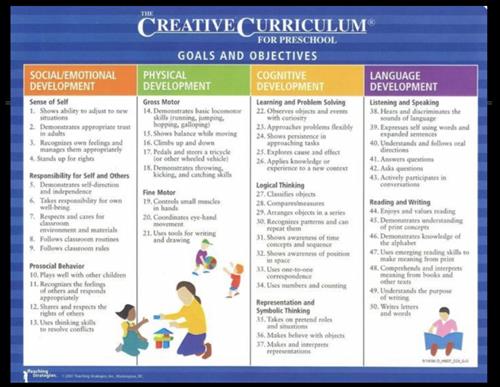 Primary School Curriculum